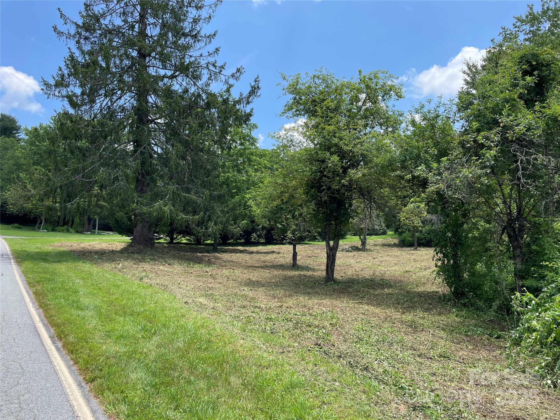 150 Founders Drive #159 - Photo 40