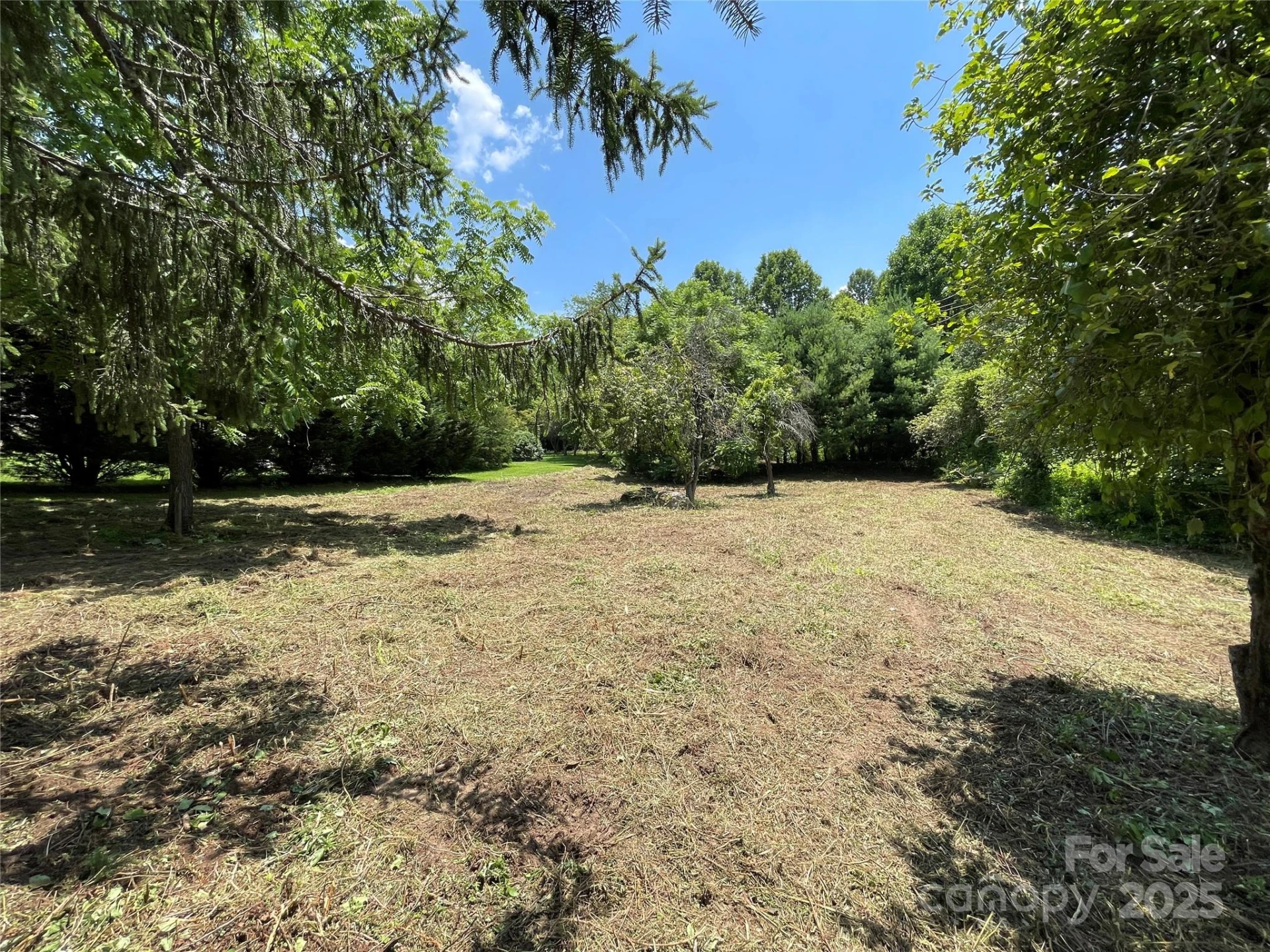 150 Founders Drive #159 - Photo 5