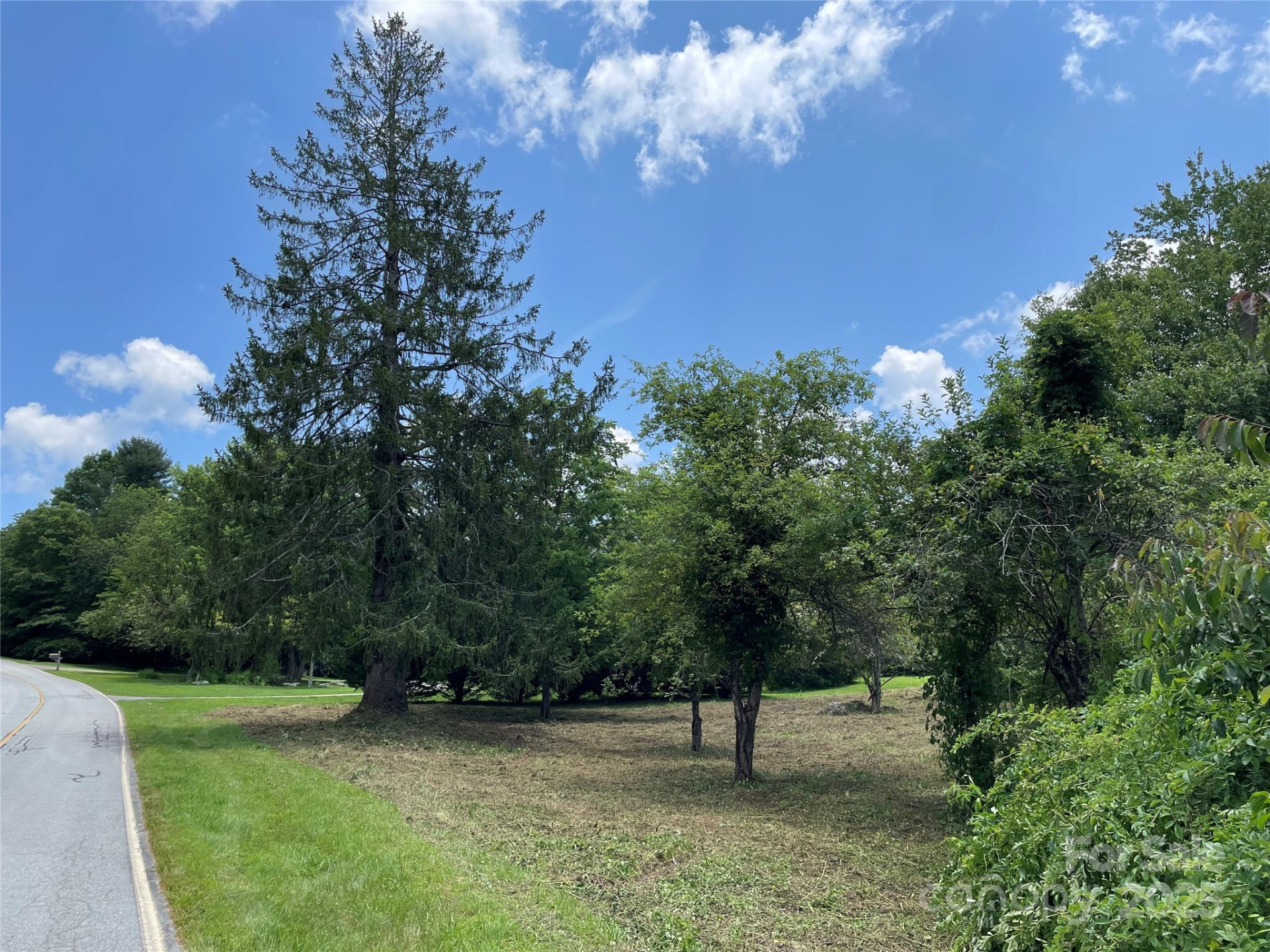 150 Founders Drive #159 - Photo 41