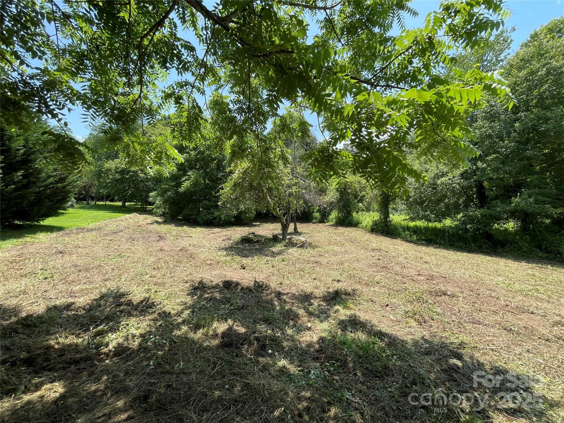 150 Founders Drive #159 - Photo 6