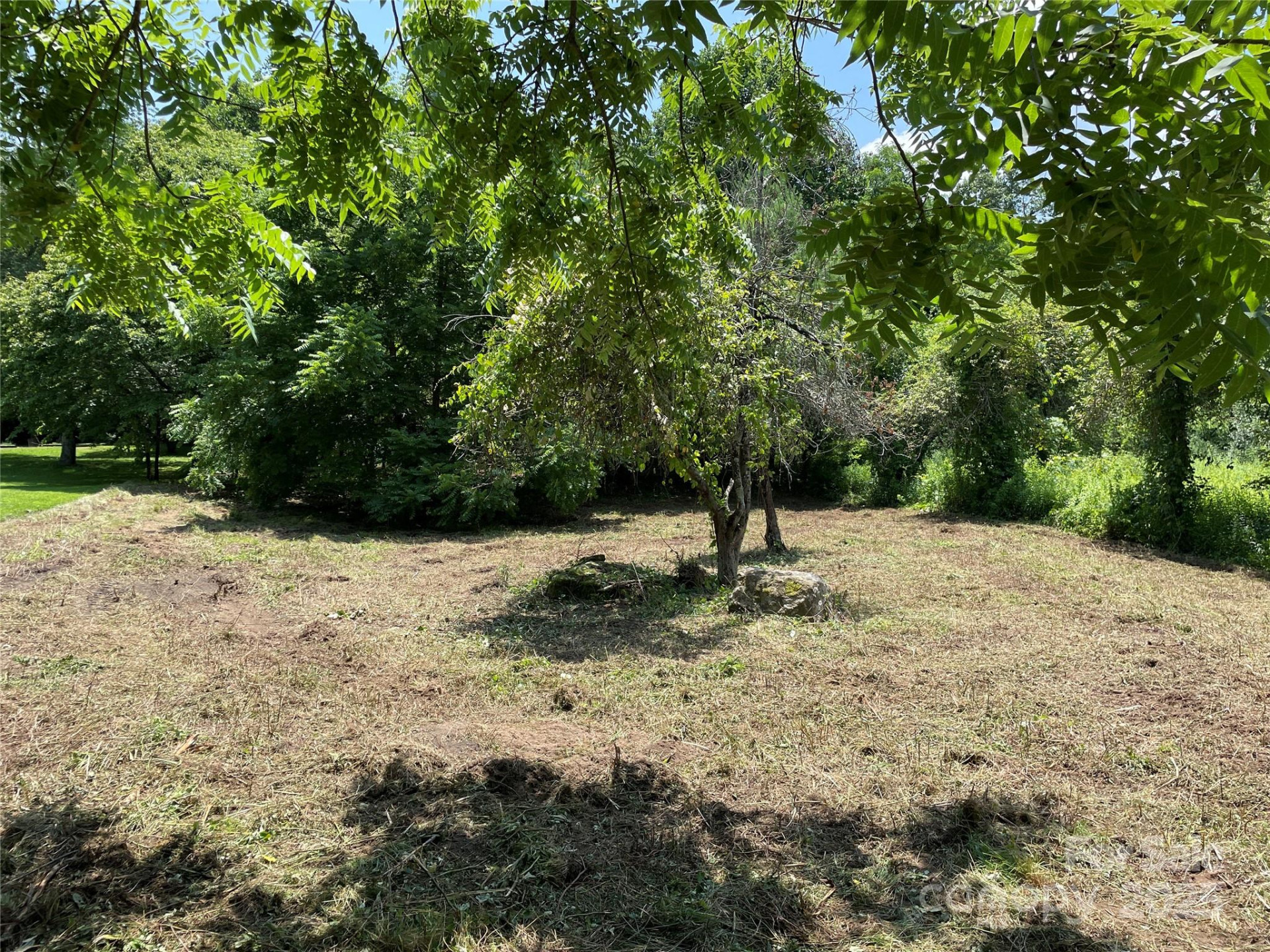 150 Founders Drive #159 - Photo 7