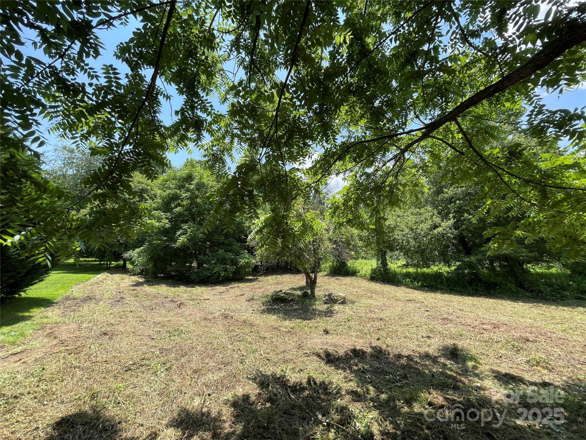 150 Founders Drive #159 - Photo 8