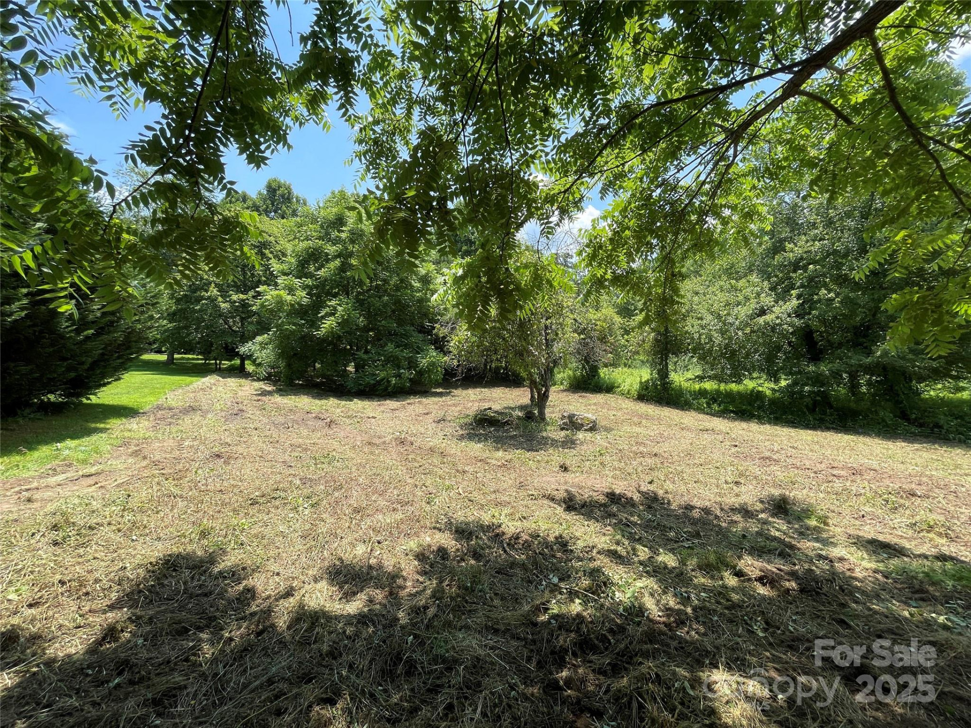 150 Founders Drive #159 - Photo 10