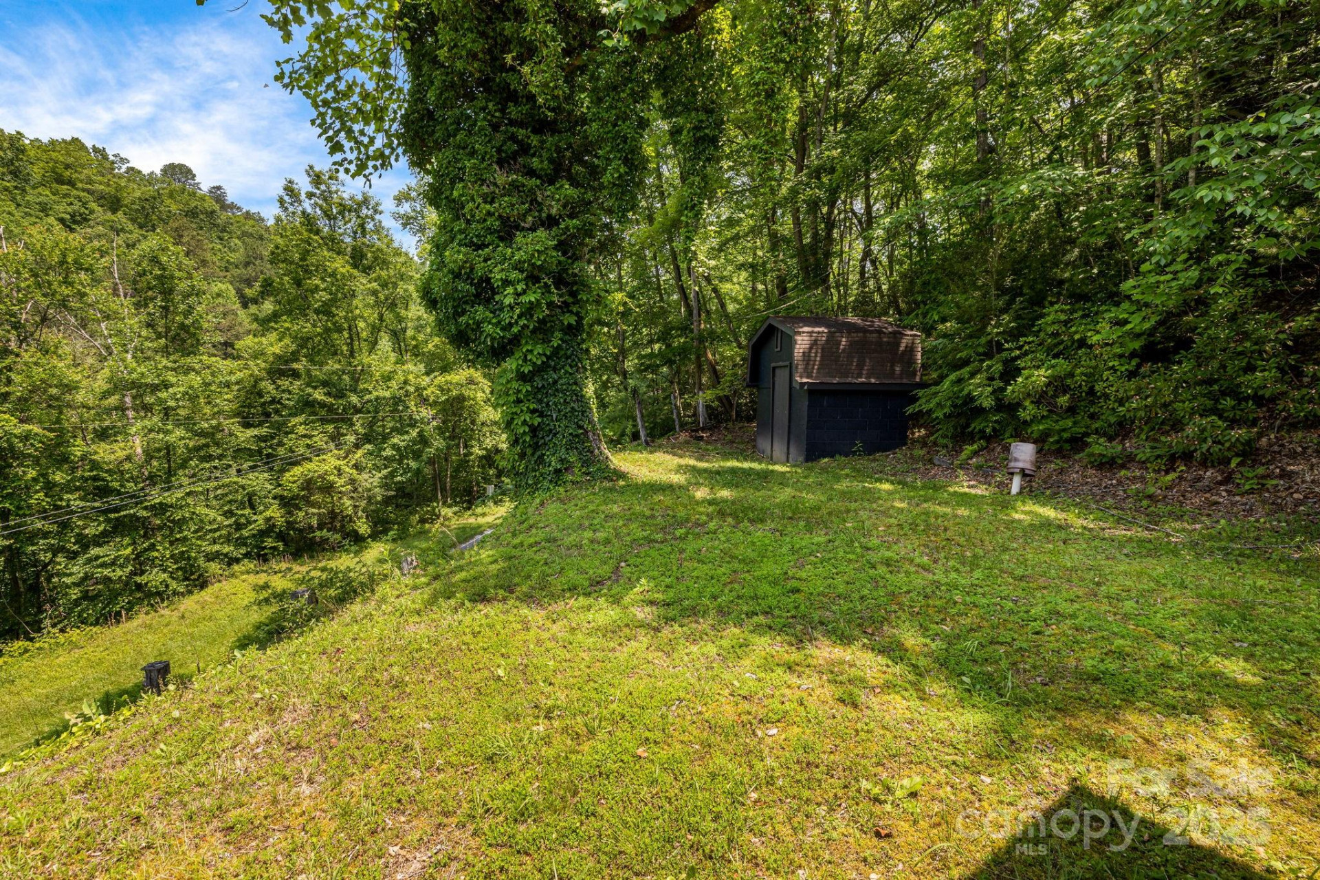 6541 Grassy Branch Road - Photo 31