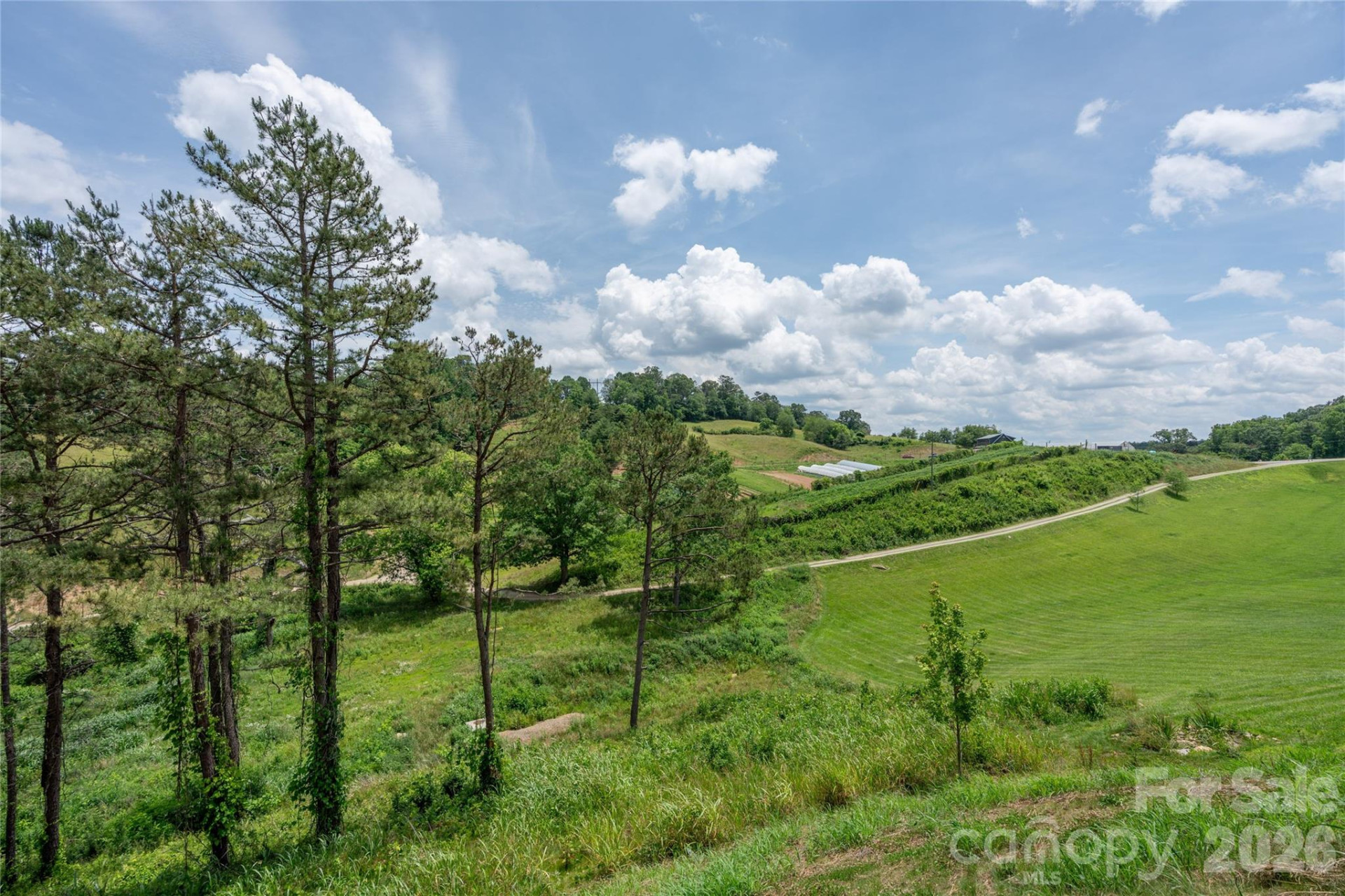 233 Westridge Farm Road #23 - Photo 4