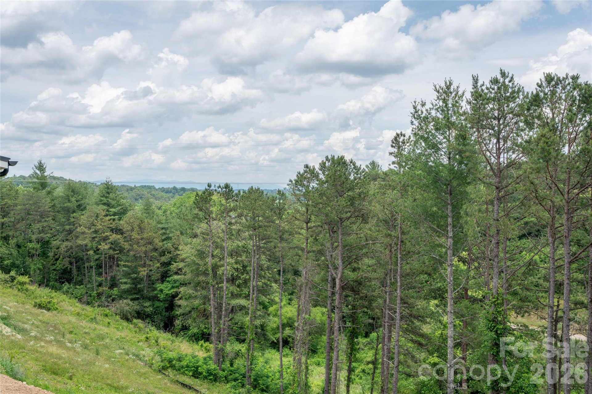 233 Westridge Farm Road #23 - Photo 44