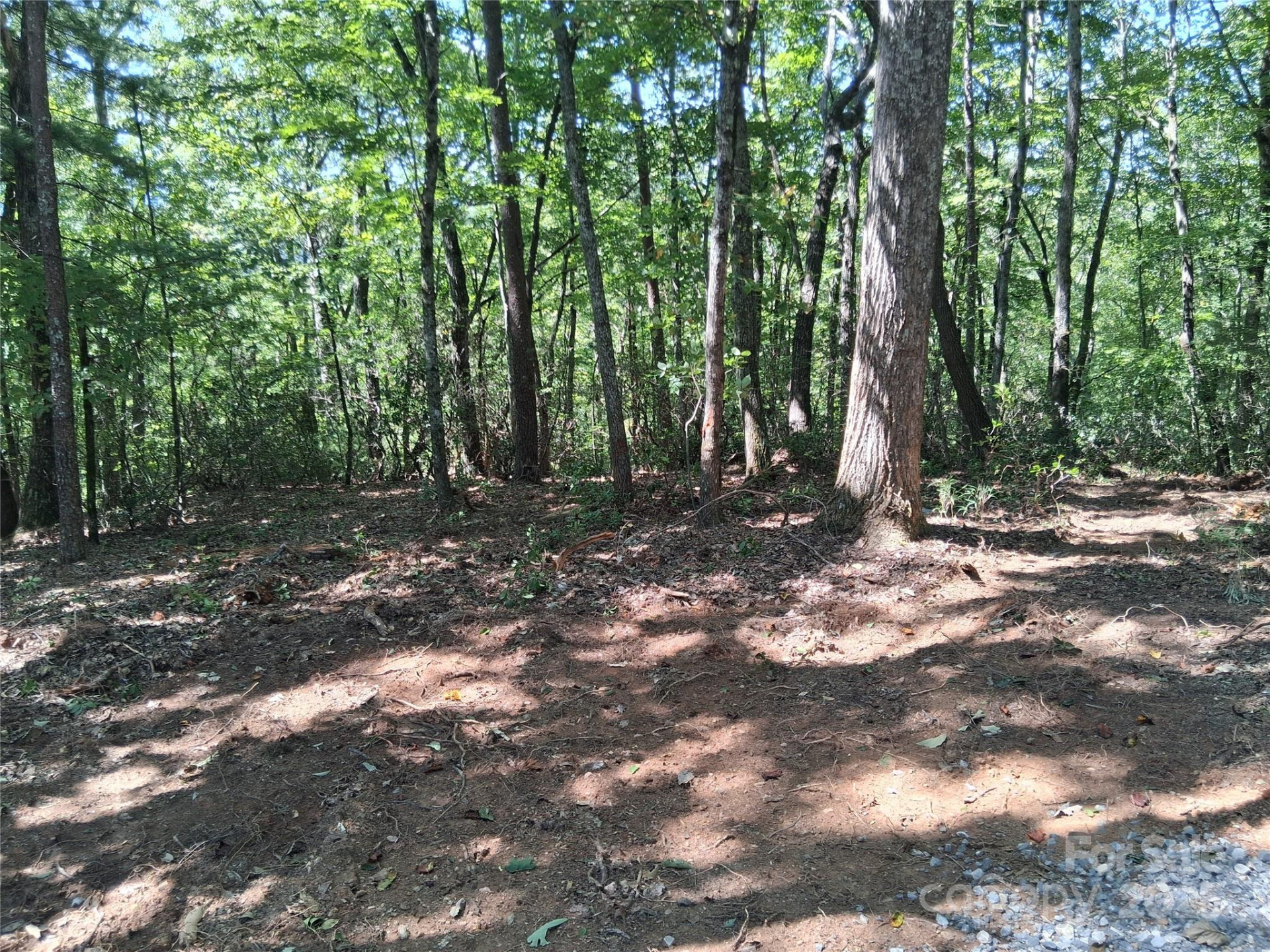 tbd Misty Mountain Drive #35 - Photo 13