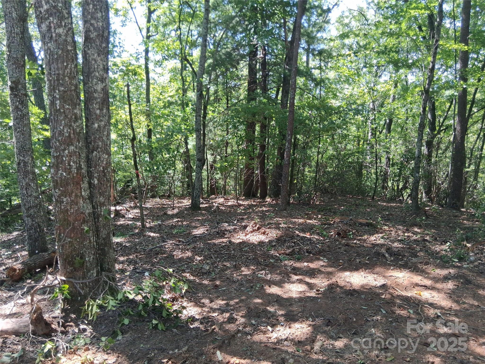 tbd Misty Mountain Drive #35 - Photo 14