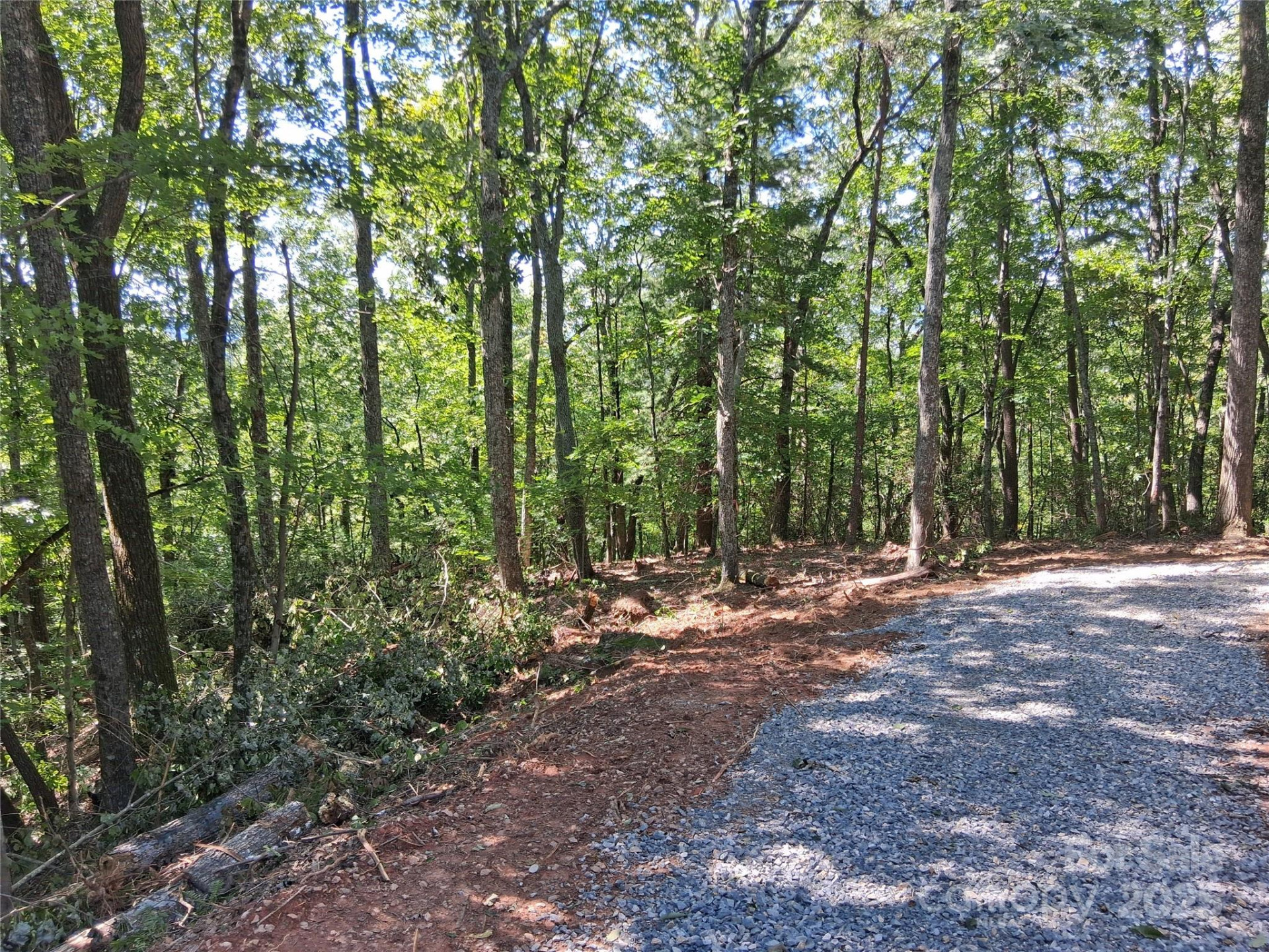 tbd Misty Mountain Drive #35 - Photo 10