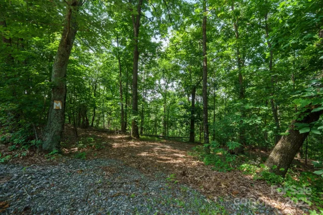 00 Hendren Road