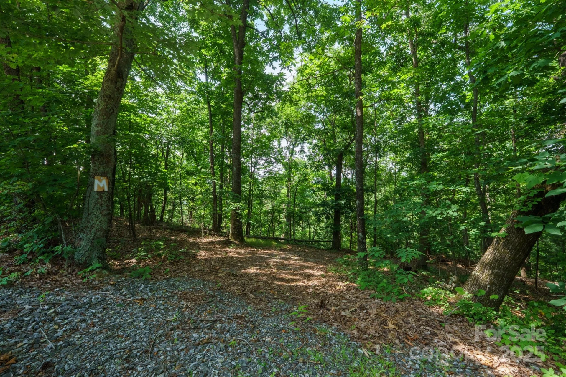 00 Hendren Road