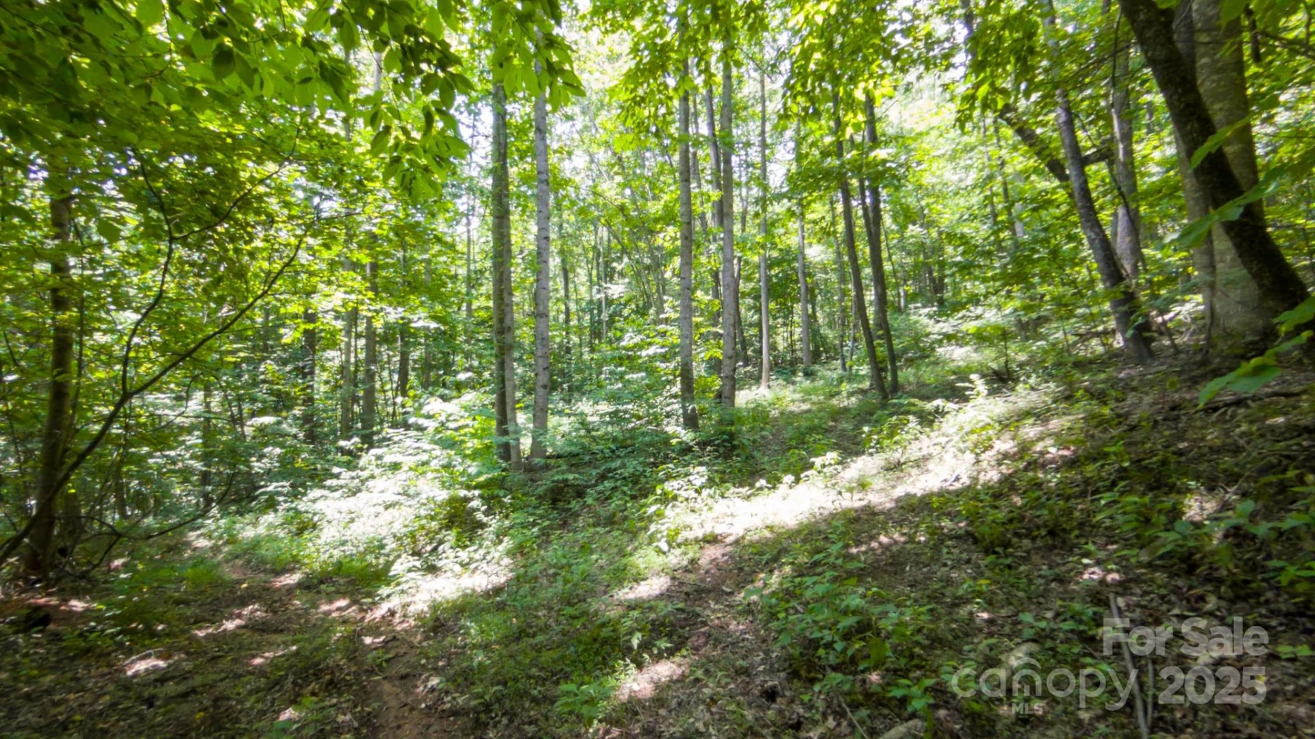 00 Hendren Road - Photo 6