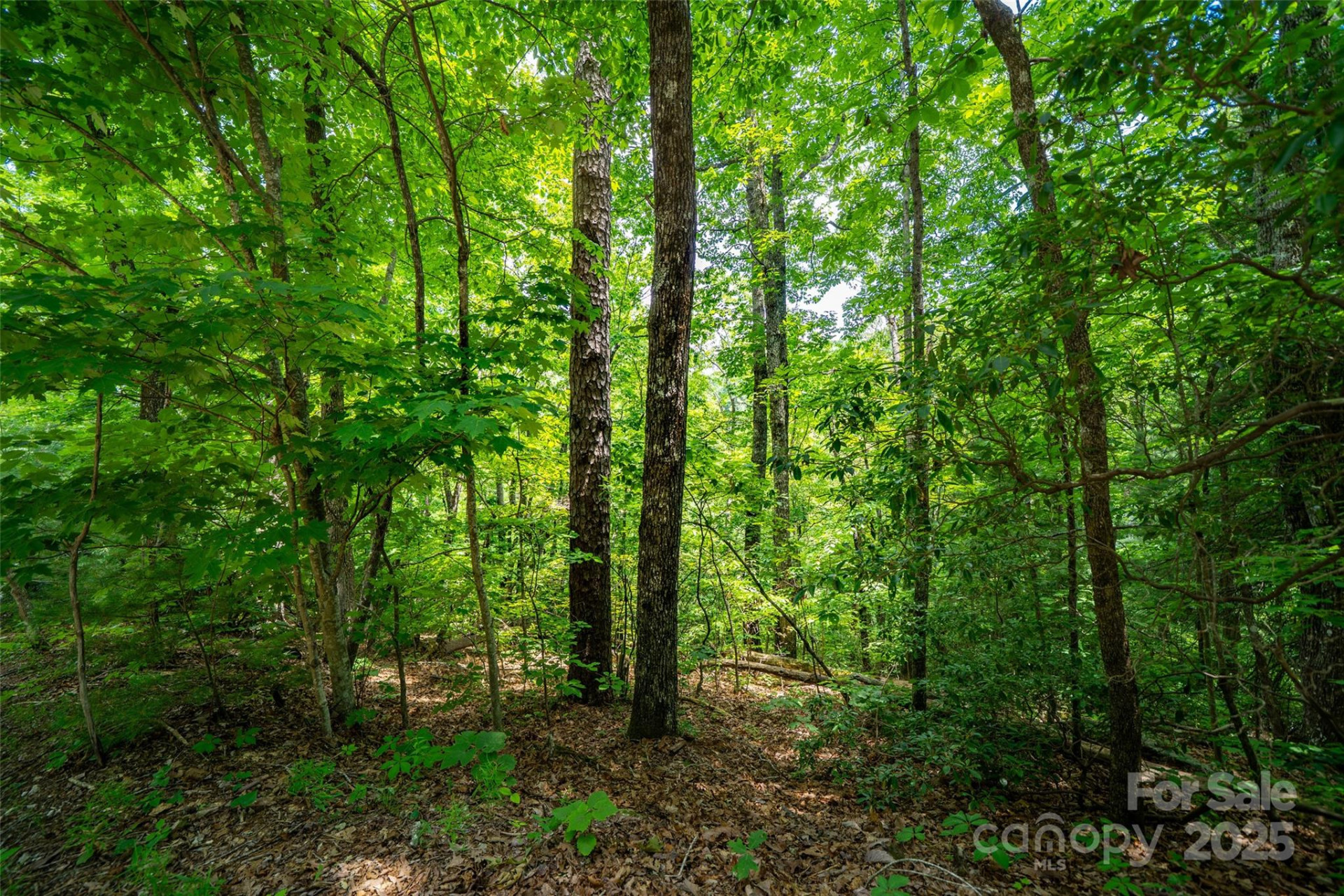 00000 Foster Hill Drive #3 - Photo 2