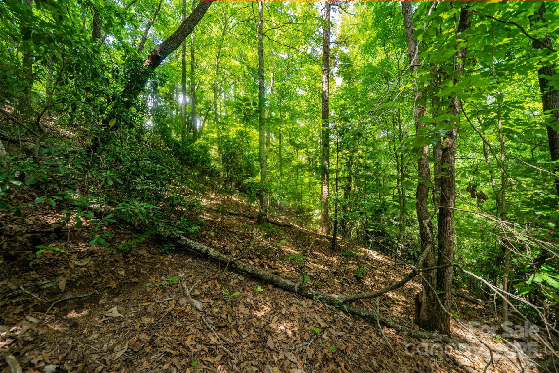 00000 Foster Hill Drive #3 - Photo 3