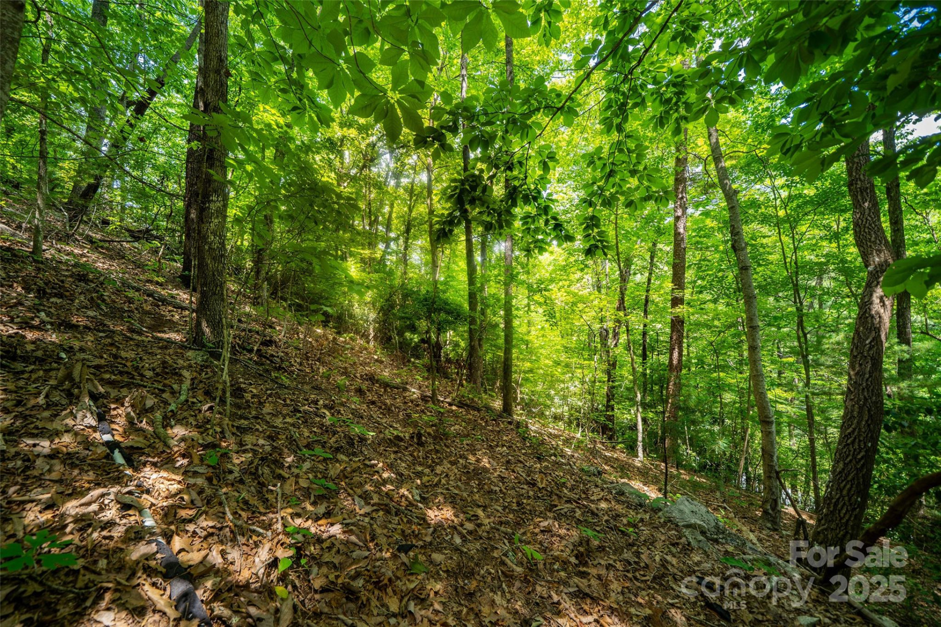 00000 Foster Hill Drive #3 - Photo 4