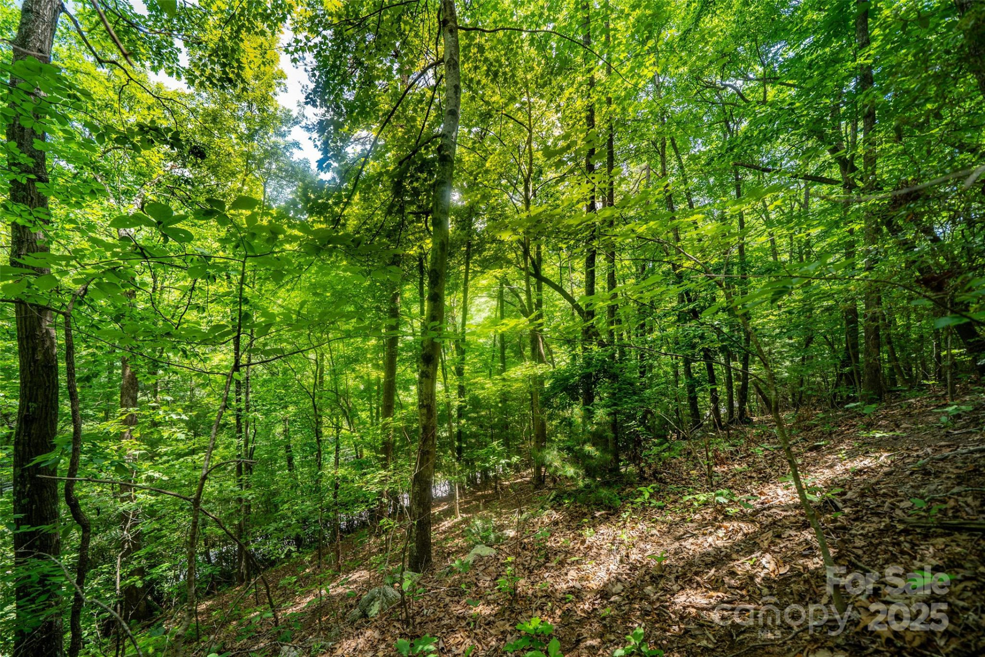 00000 Foster Hill Drive #3 - Photo 5