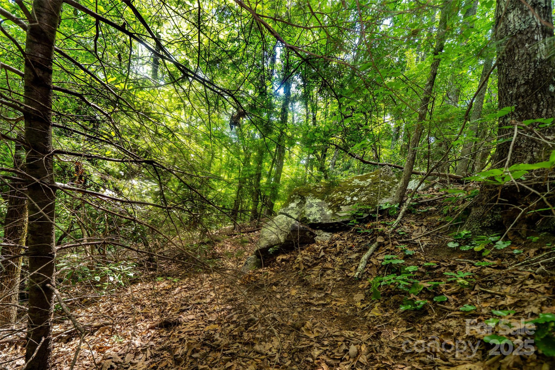 00000 Foster Hill Drive #3 - Photo 6