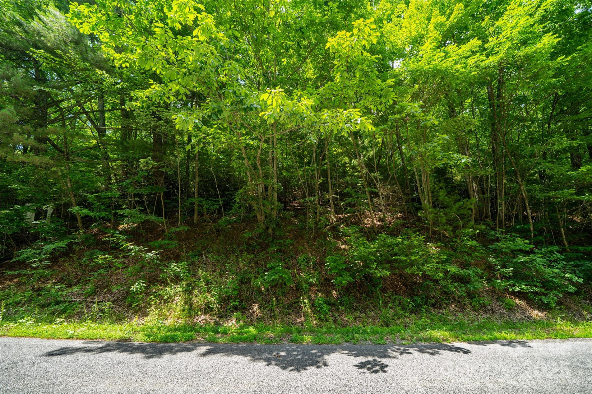 00000 Foster Hill Drive #3 - Photo 8