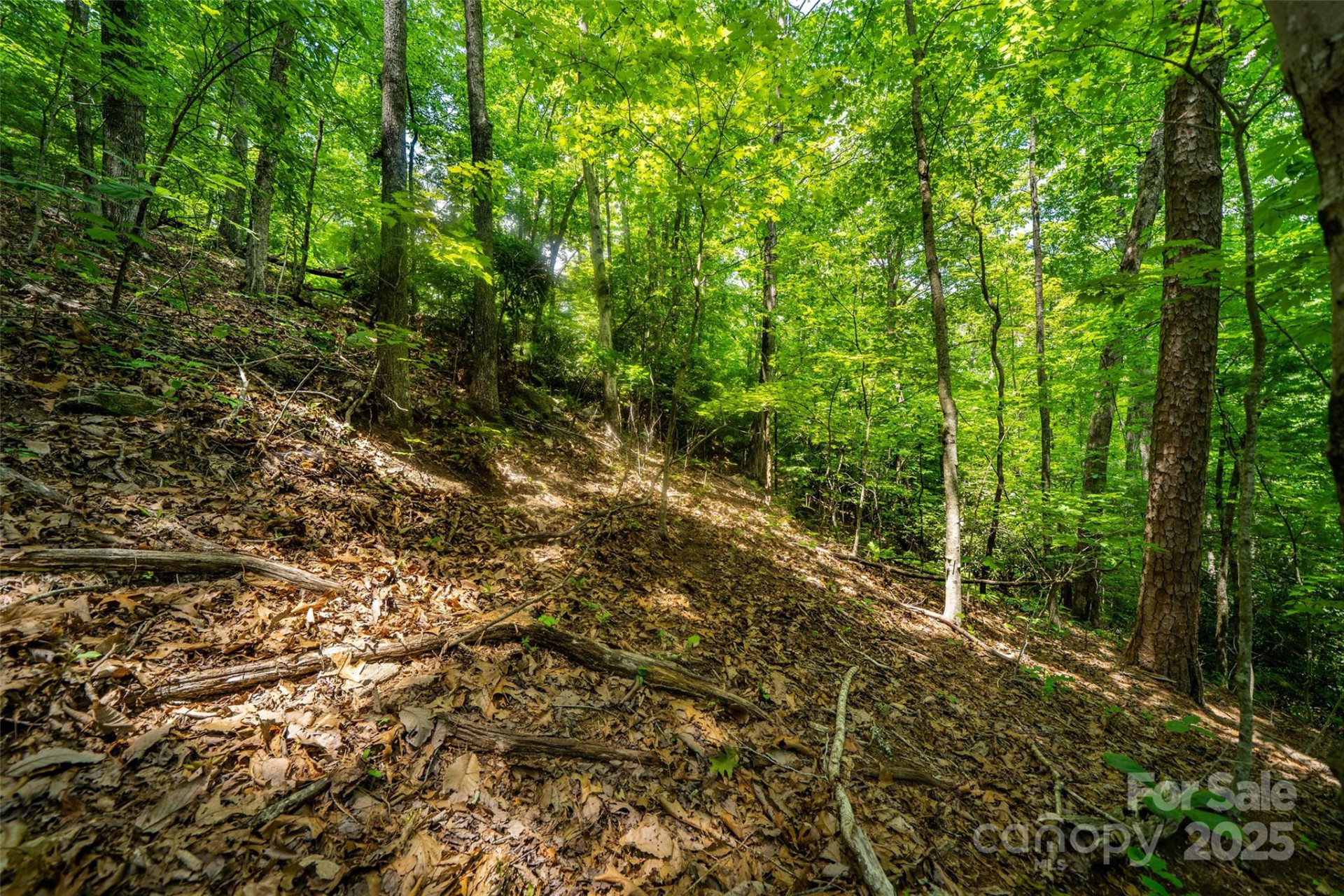 00000 Foster Hill Drive #3 - Photo 9