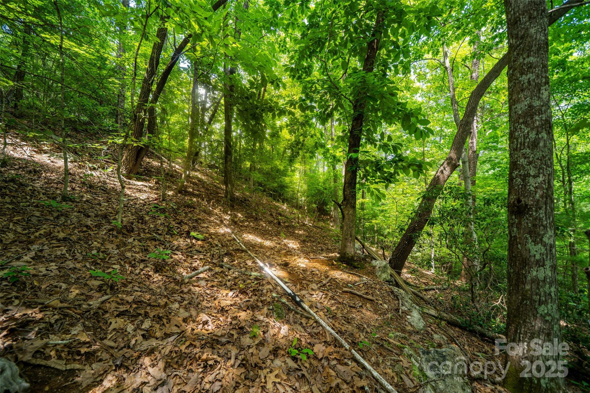 00000 Foster Hill Drive #3 - Photo 10