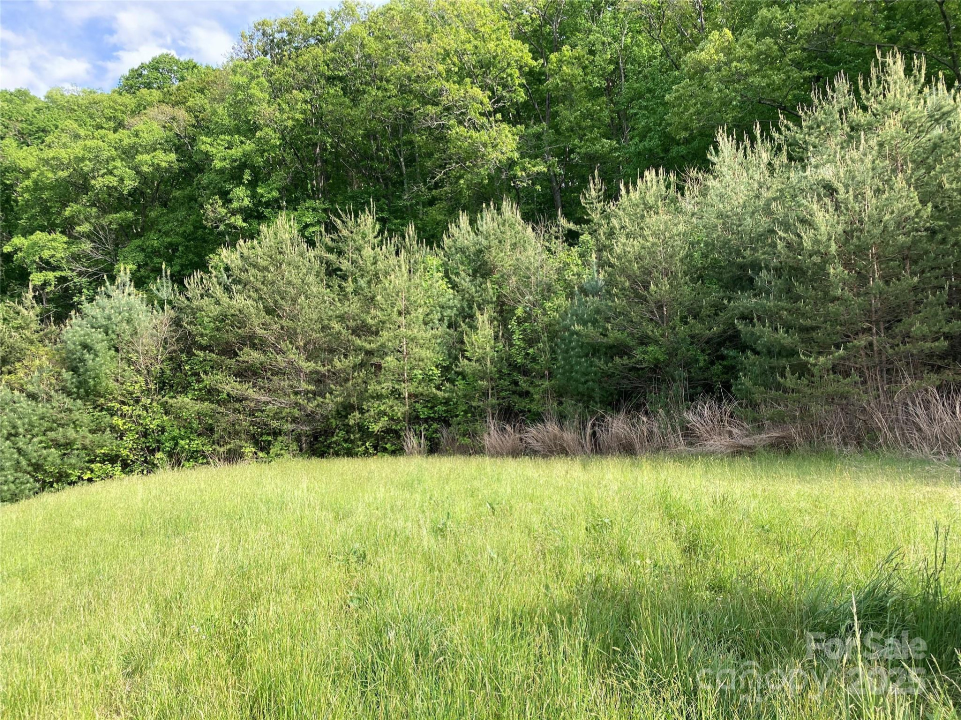 82 Seven Glens Drive - Photo 11