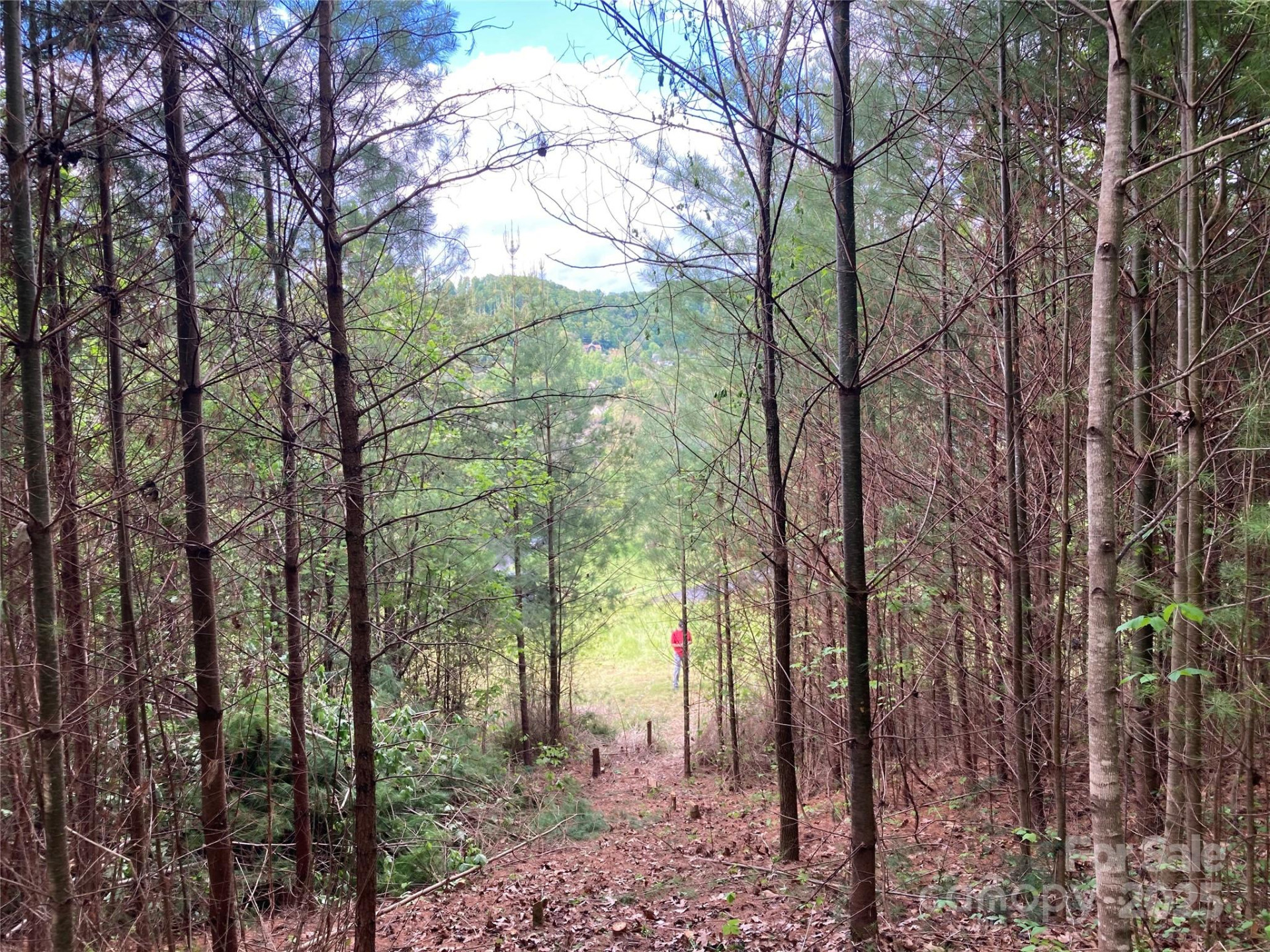 82 Seven Glens Drive - Photo 12