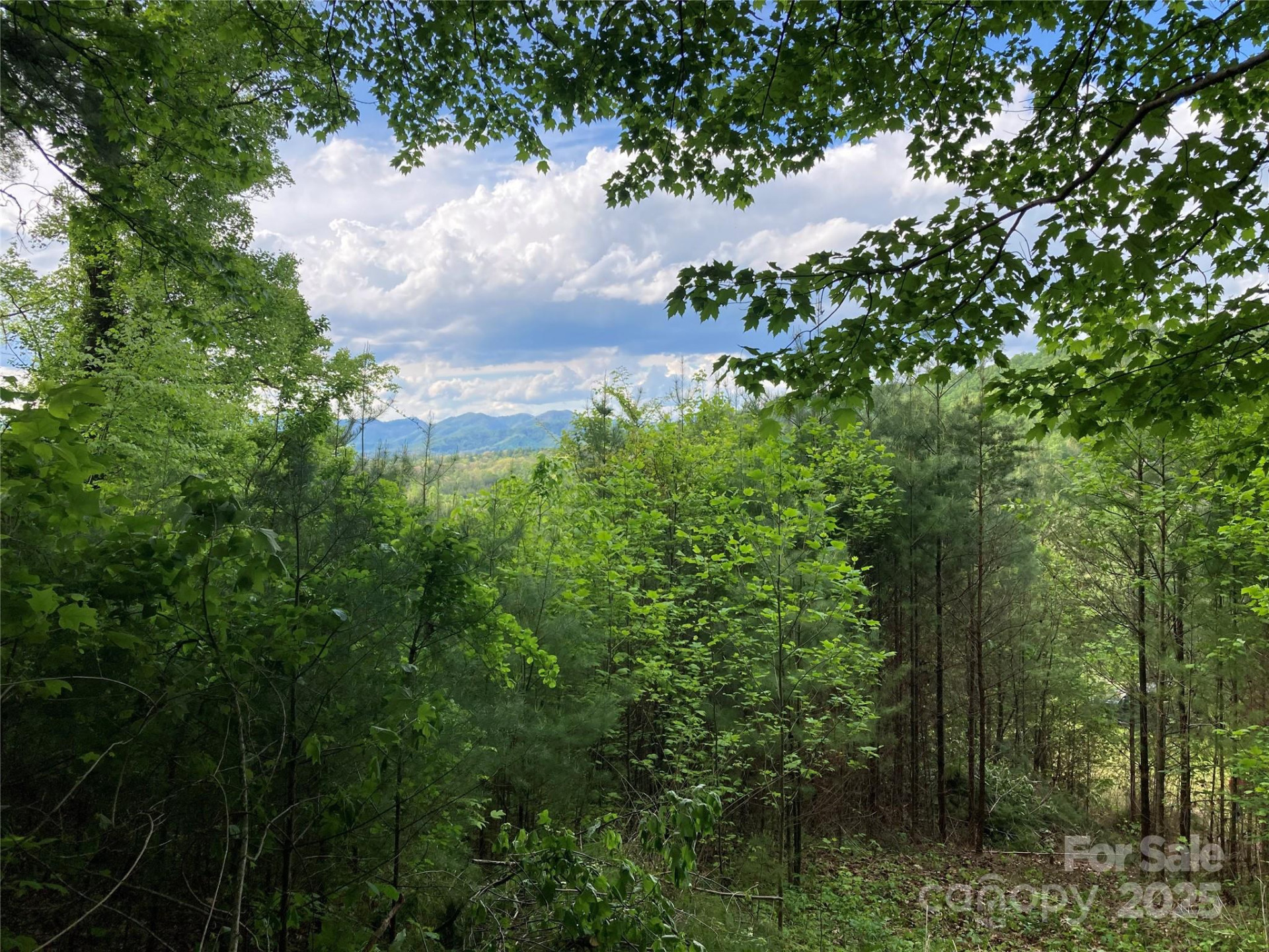 82 Seven Glens Drive - Photo 13