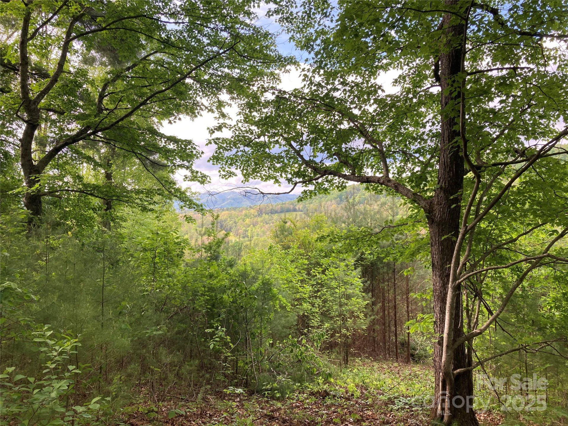 82 Seven Glens Drive - Photo 14