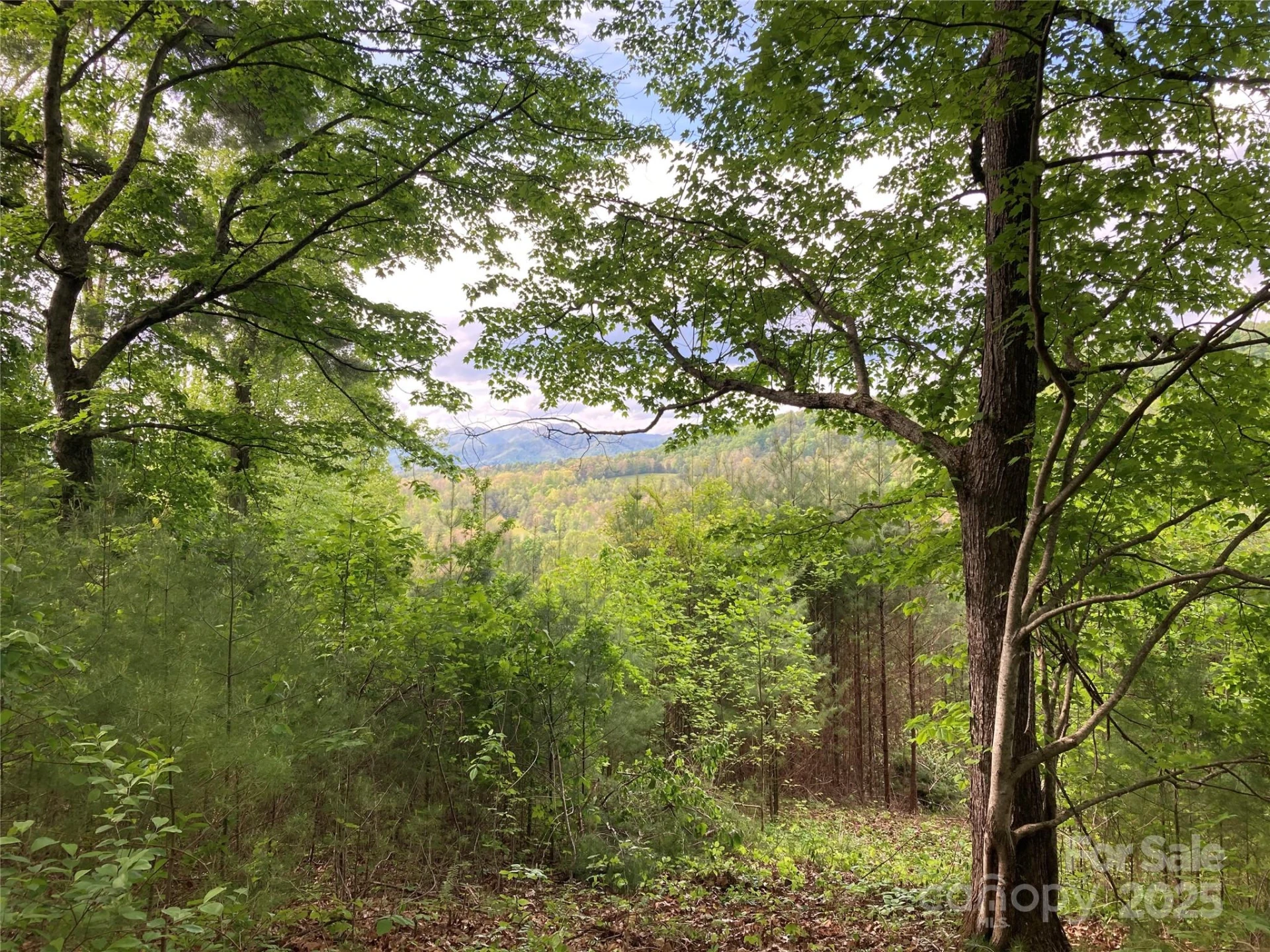 82 Seven Glens Drive - Photo 14