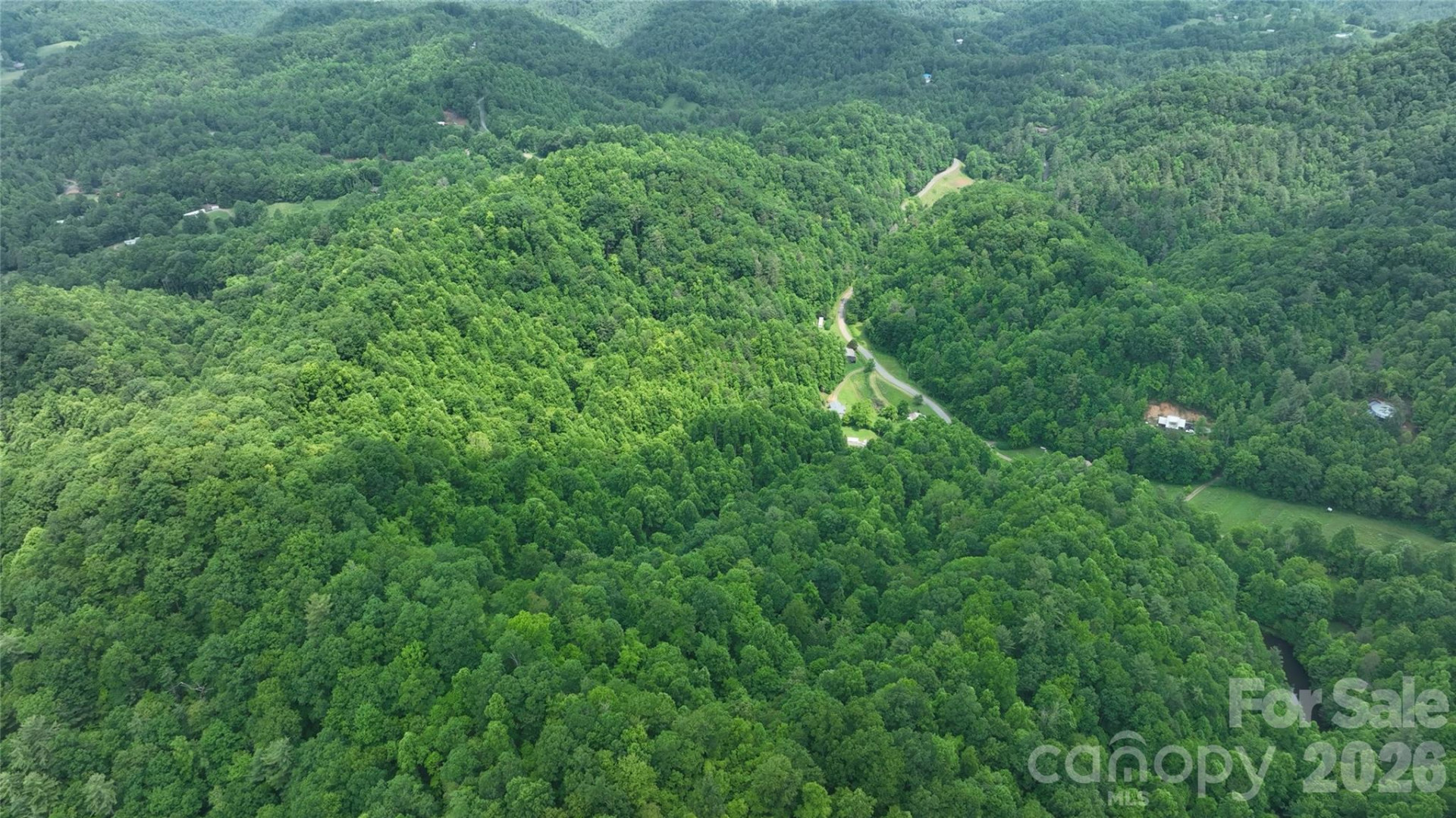 320 Board Tree Road - Photo 2