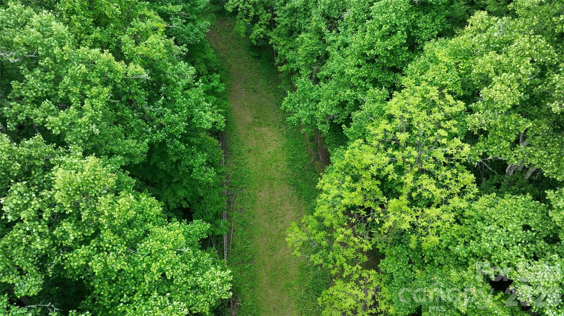 320 Board Tree Road - Photo 11