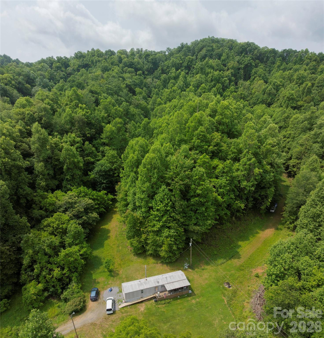 320 Board Tree Road - Photo 12