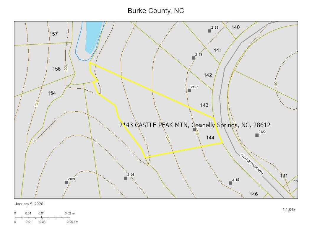 2143 Castle Peak Mountain None #144 - Photo 5