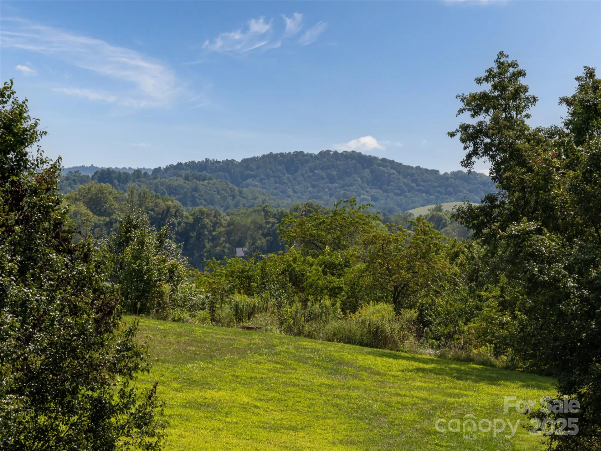 109 Double Knob Road #66 - Photo 6