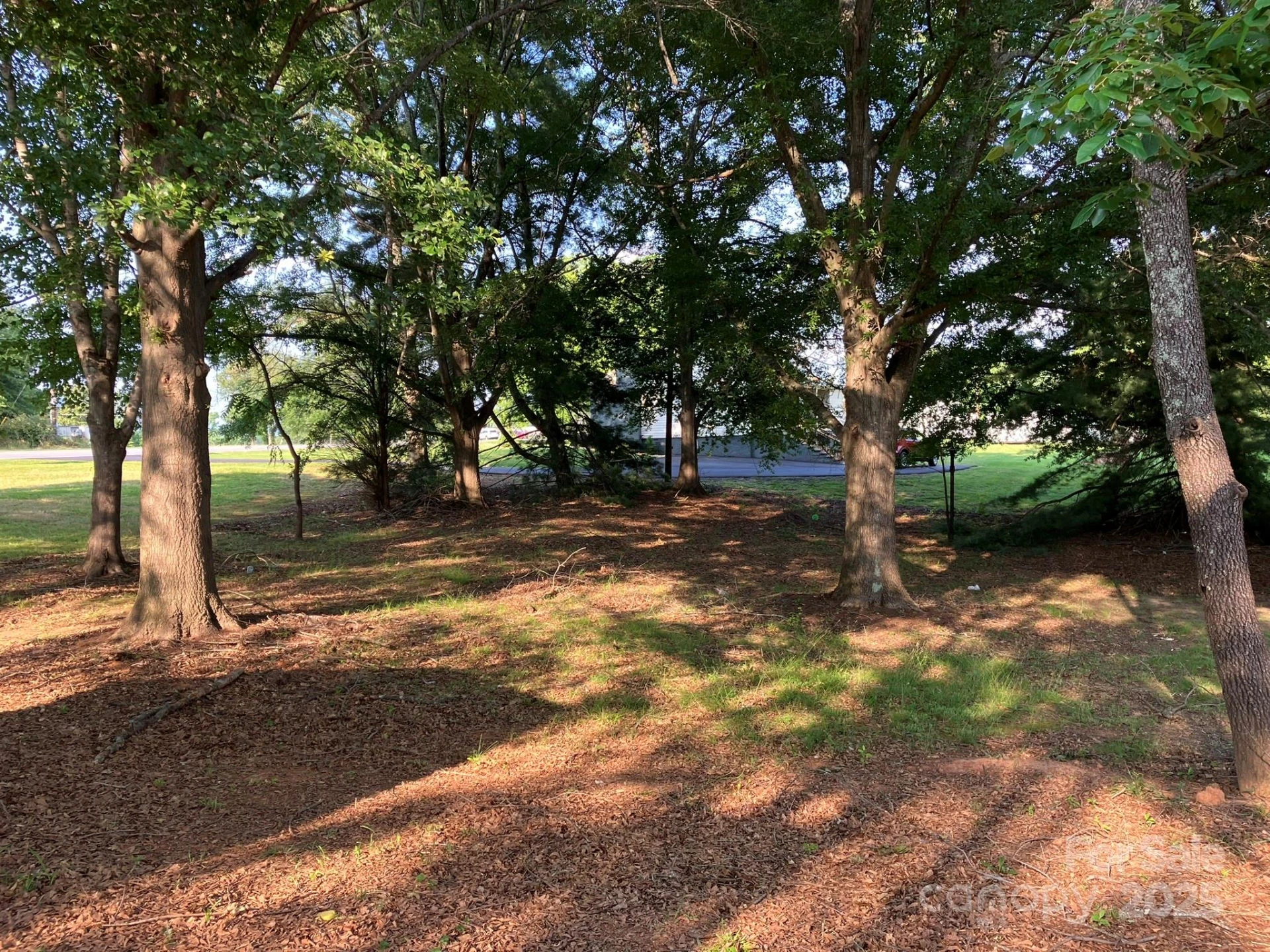 224 Piney Ridge Road - Photo 43