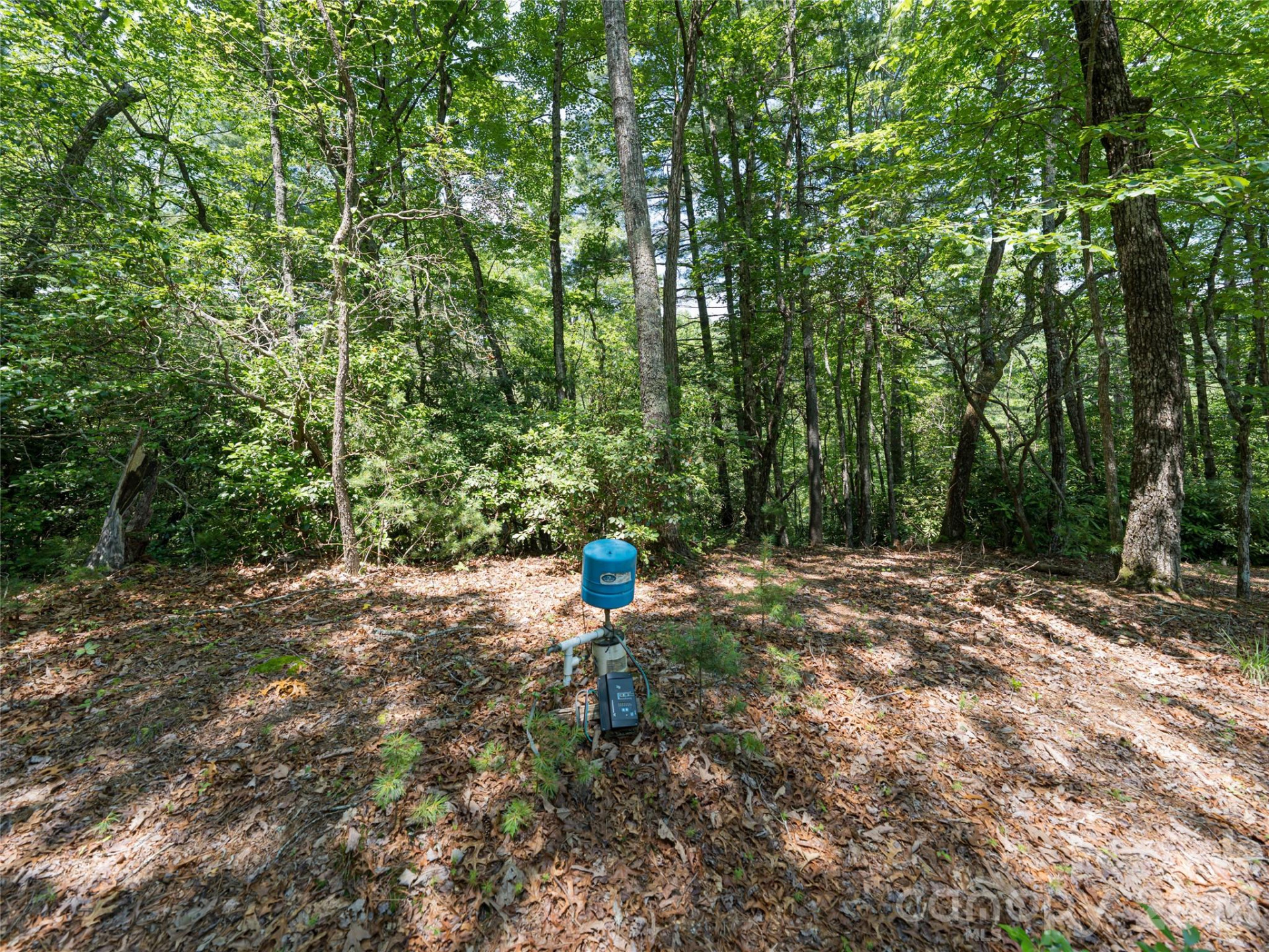 1000 Sutton Creek Road - Photo 13