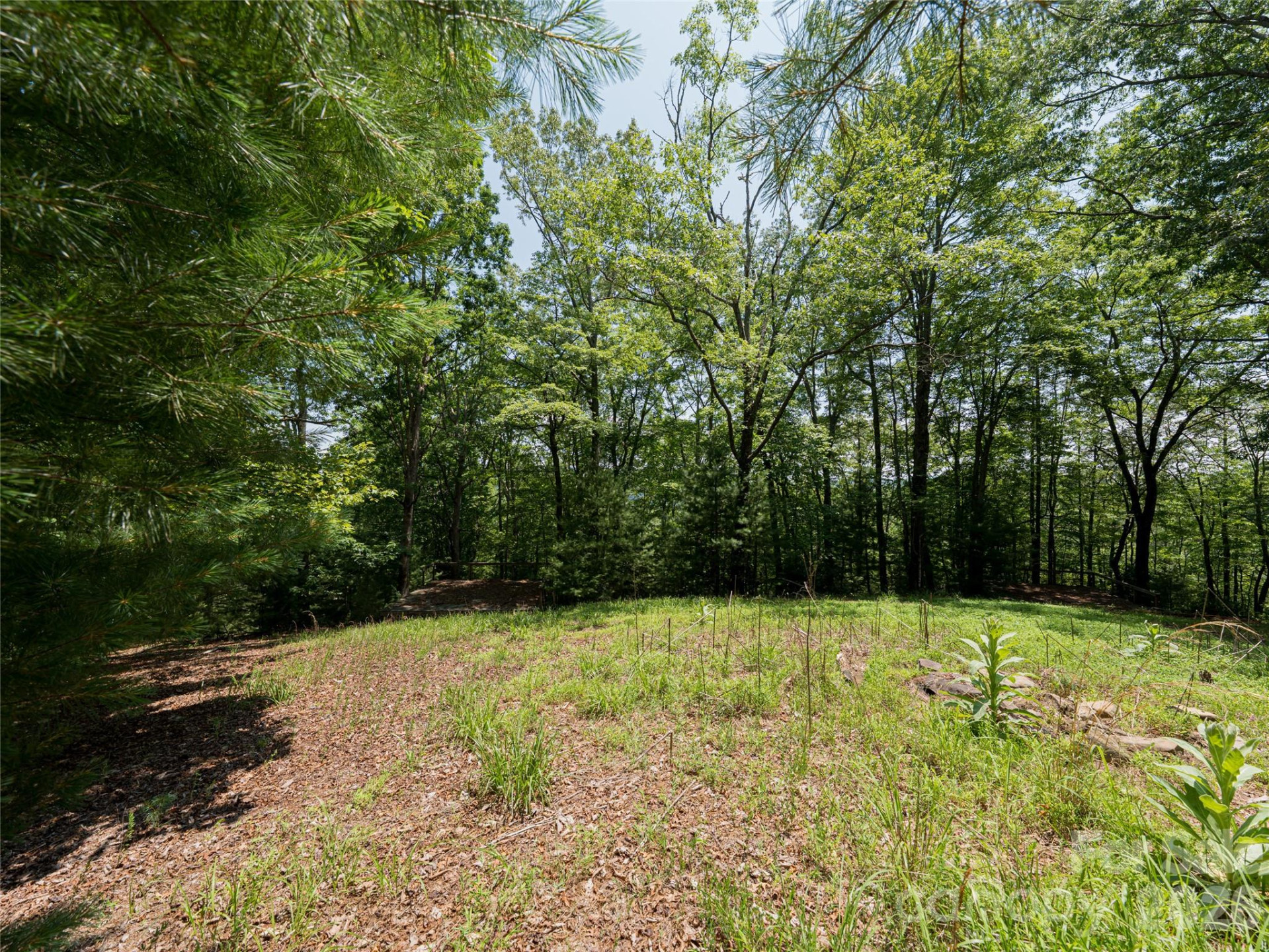 1000 Sutton Creek Road - Photo 14