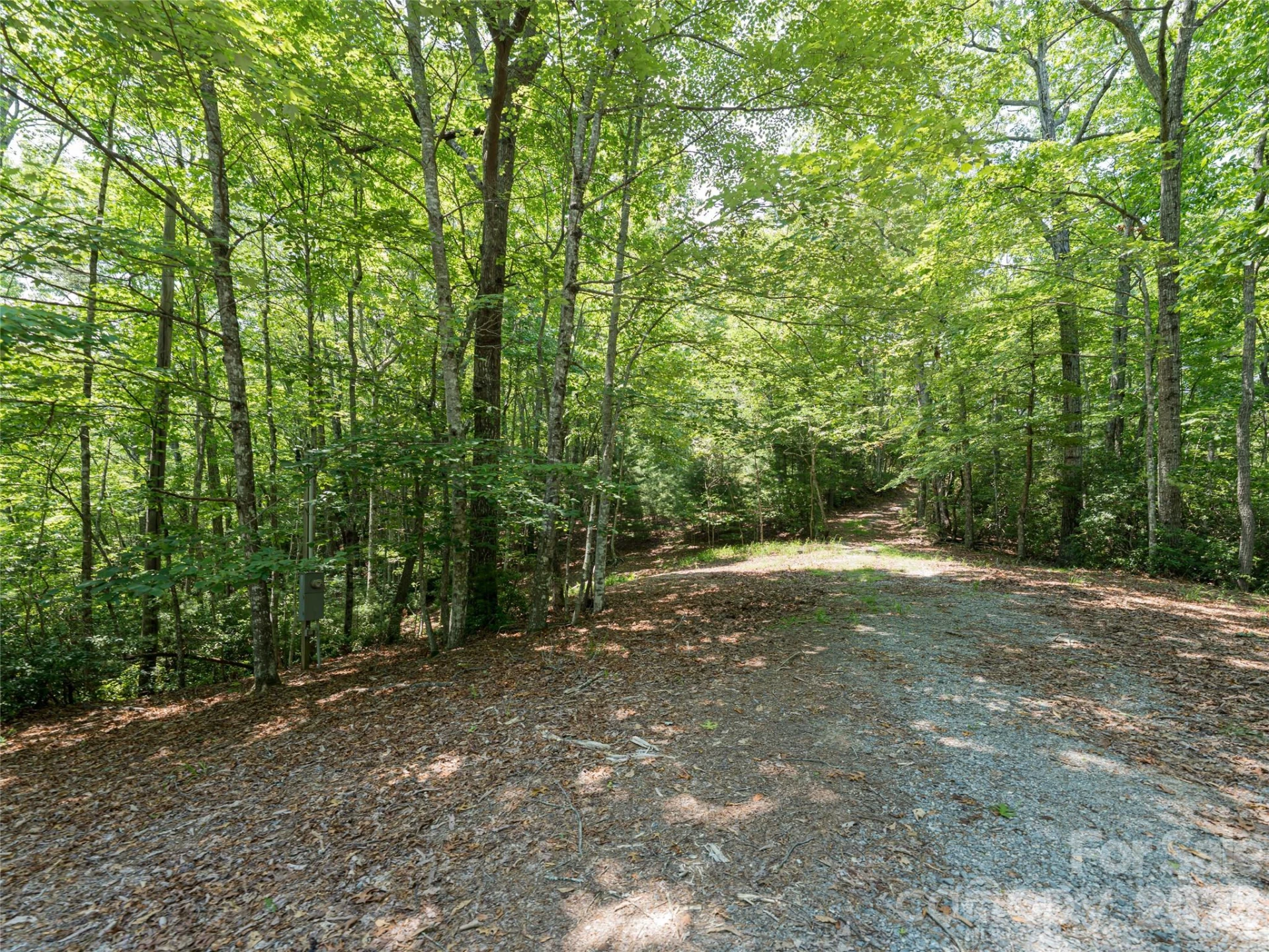 1000 Sutton Creek Road - Photo 16