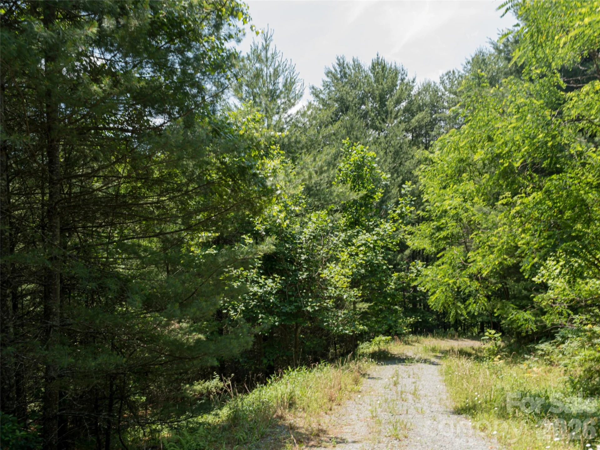 1000 Sutton Creek Road - Photo 17