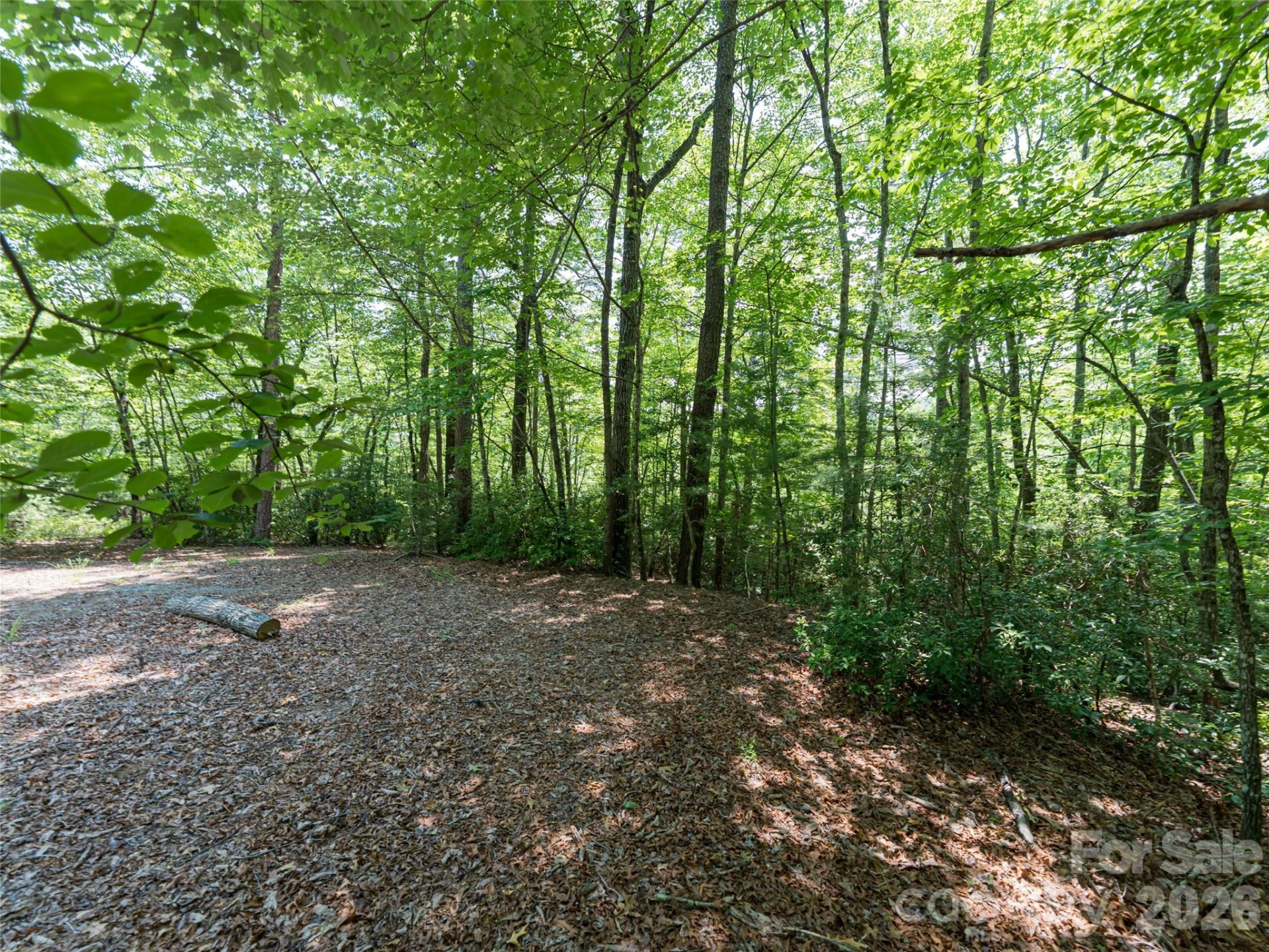 1000 Sutton Creek Road - Photo 18