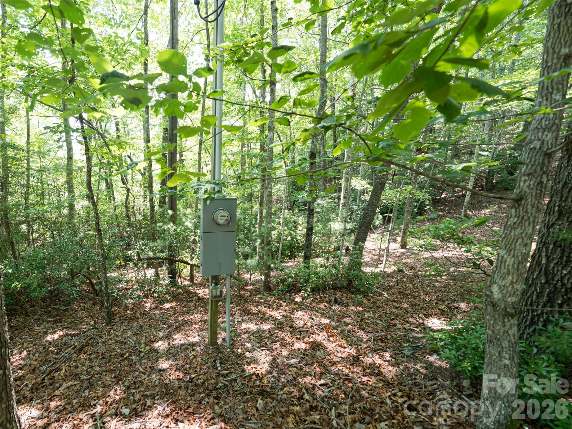 1000 Sutton Creek Road - Photo 19