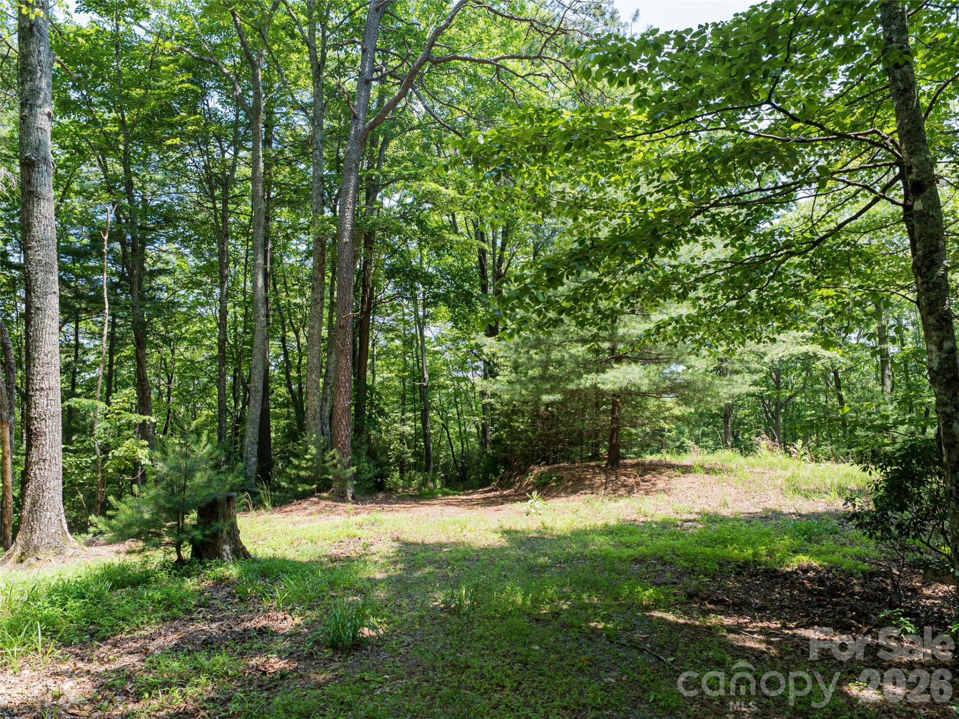 1000 Sutton Creek Road - Photo 3