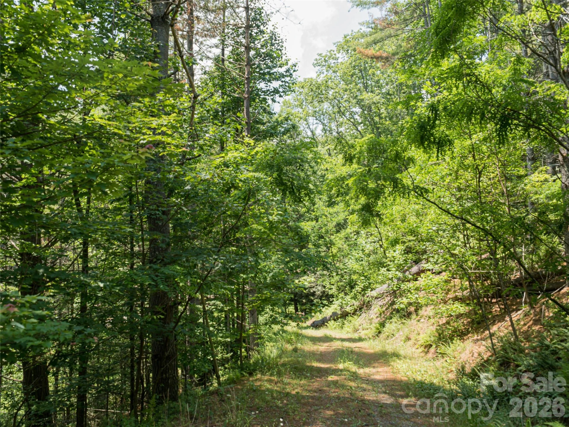 1000 Sutton Creek Road - Photo 21