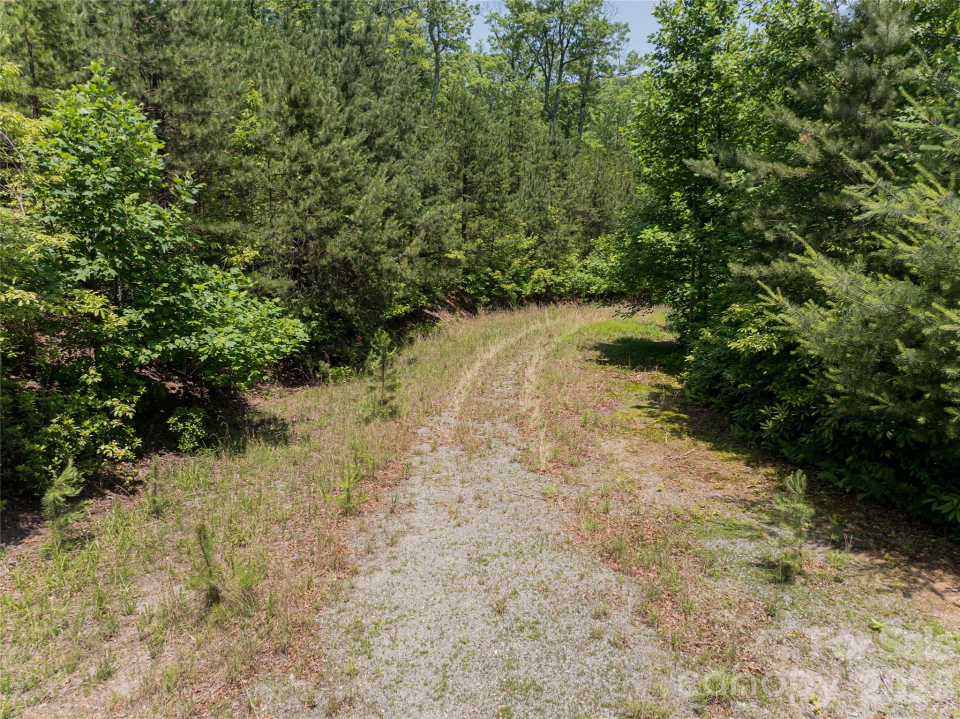 1000 Sutton Creek Road - Photo 23