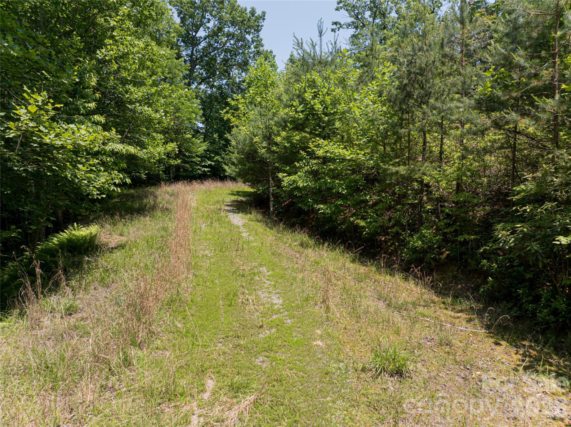 1000 Sutton Creek Road - Photo 25