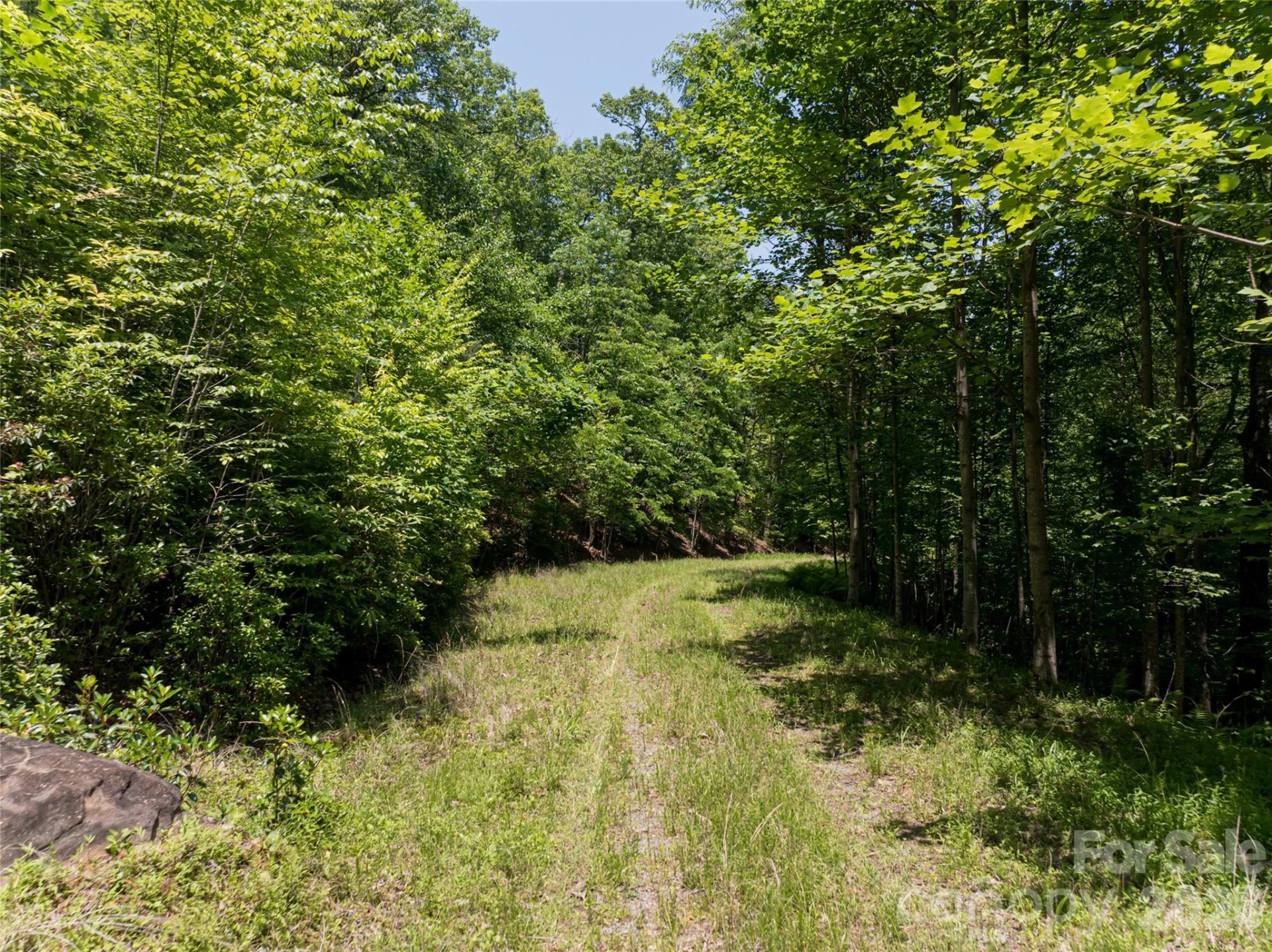 1000 Sutton Creek Road - Photo 27