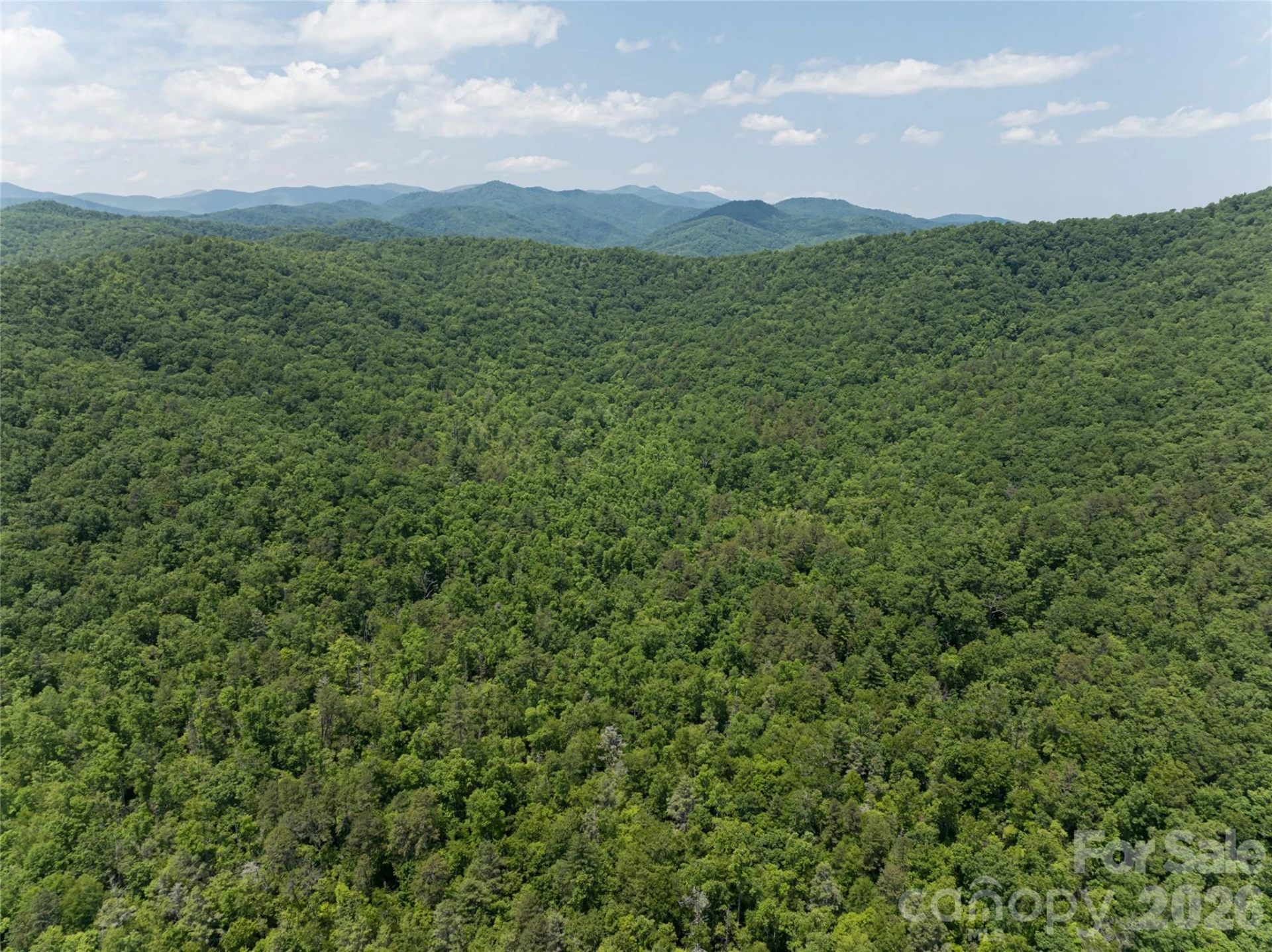 1000 Sutton Creek Road - Photo 28