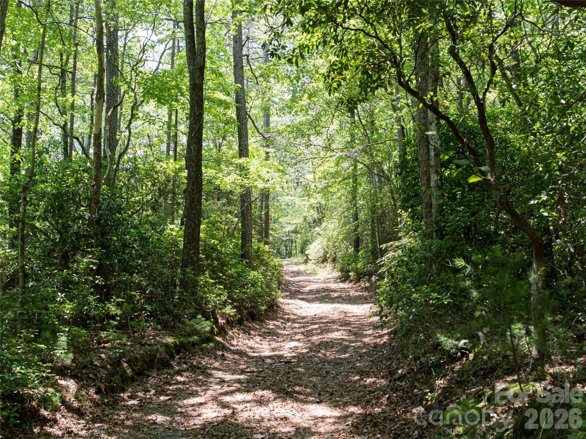 1000 Sutton Creek Road - Photo 4