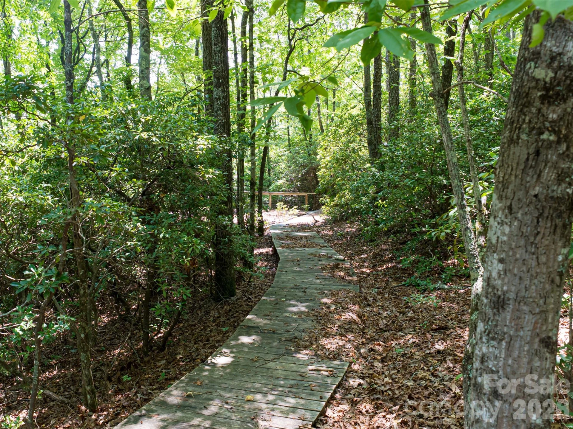 1000 Sutton Creek Road - Photo 5