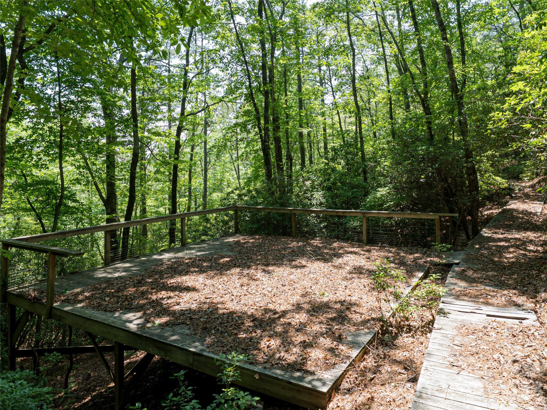 1000 Sutton Creek Road - Photo 6